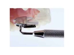 {{brizy_dc_image_alt imageSrc=